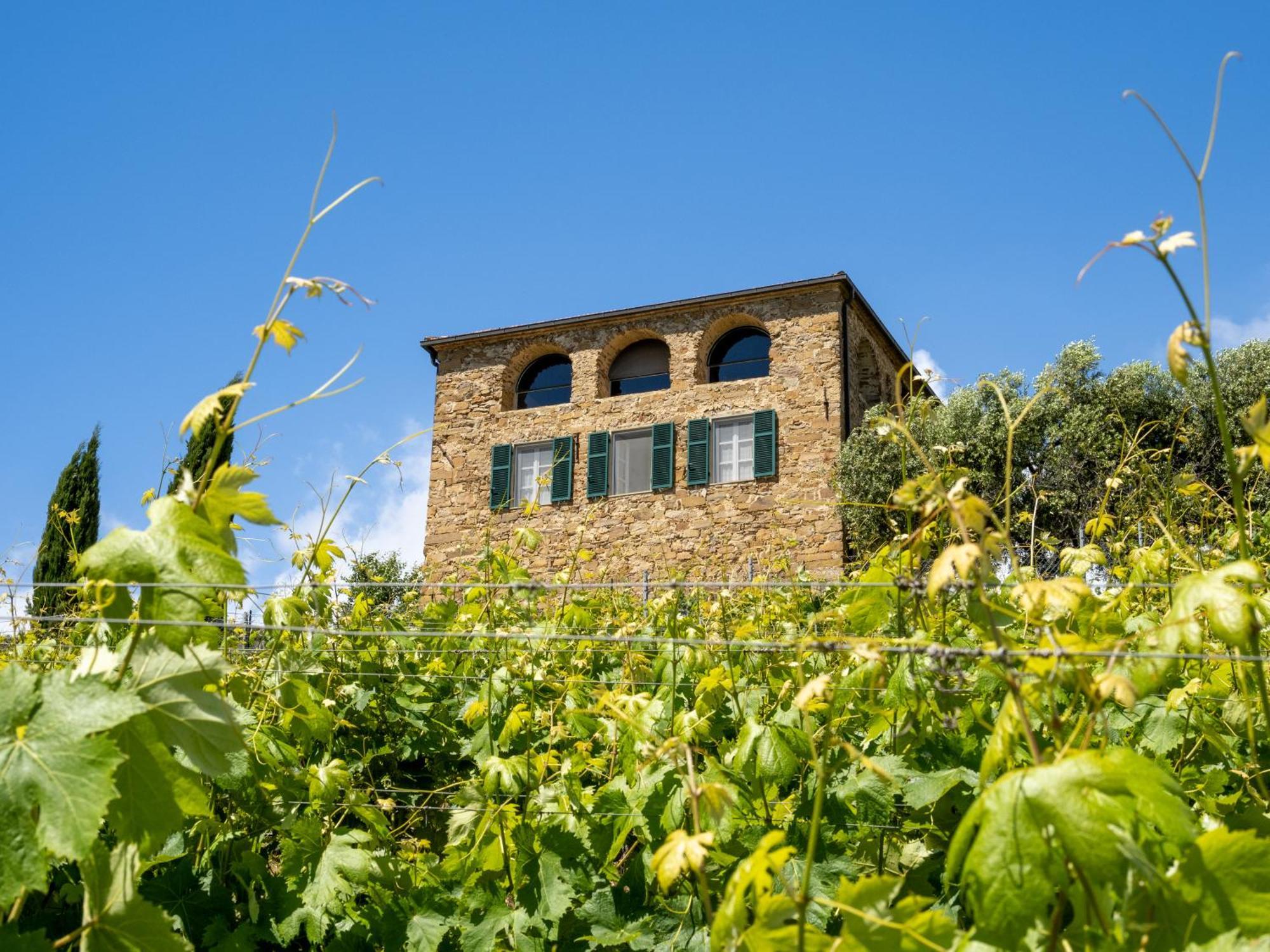 Terre Bianche Appartamenti Dolceacqua Extérieur photo