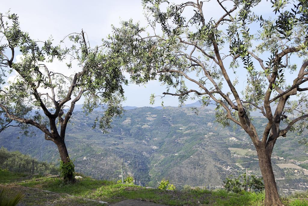 Terre Bianche Appartamenti Dolceacqua Extérieur photo