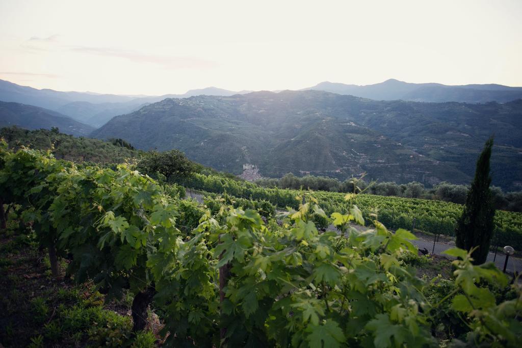 Terre Bianche Appartamenti Dolceacqua Extérieur photo